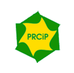 Przedsibiorstwo Robt Czerpalnych i Podwodnych Sp. z o.o.